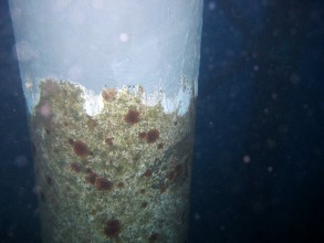 Corroded platform leg below the waterline